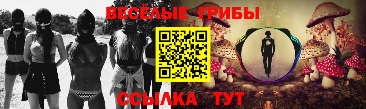 Галлюциногенные грибы Psilocybine cubensis  где найти   Ачхой-Мартан  Вход с VPN 